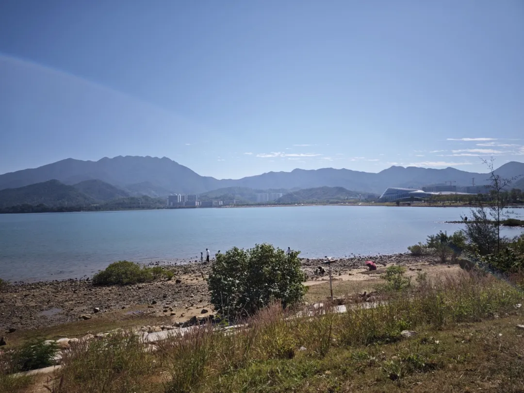 Quiet coastal scenery near Baishawan Camping Park in Shenzhen