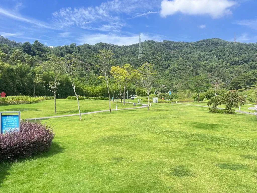 Open green lawn and hillside scenery at Bougainvillea Valley in Shenzhen