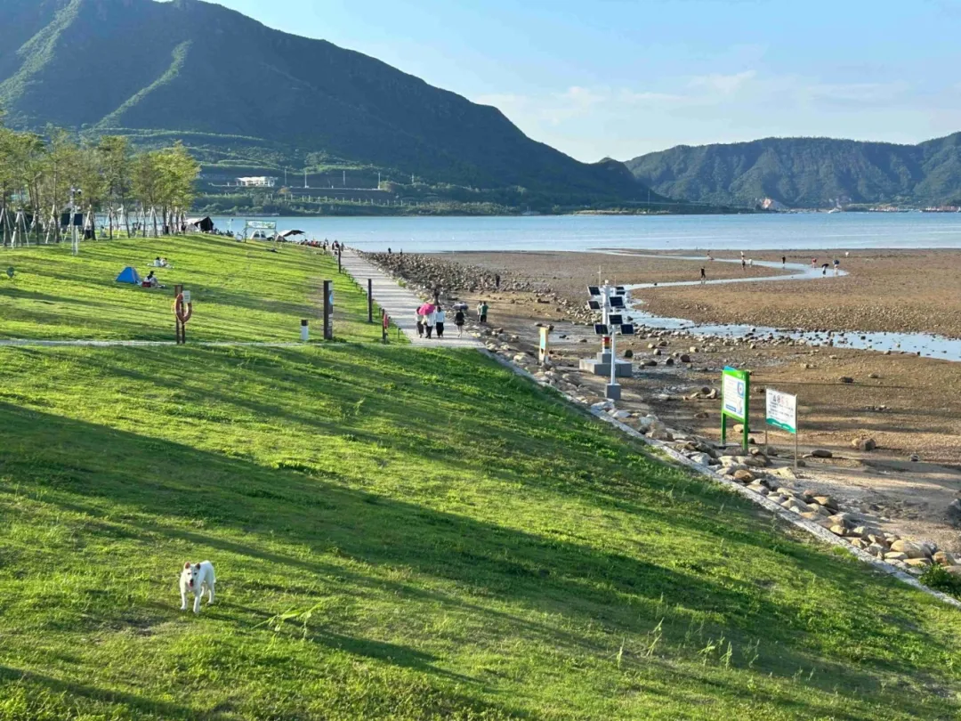Coastal lawn and open bay scenery near Dapeng, Shenzhen