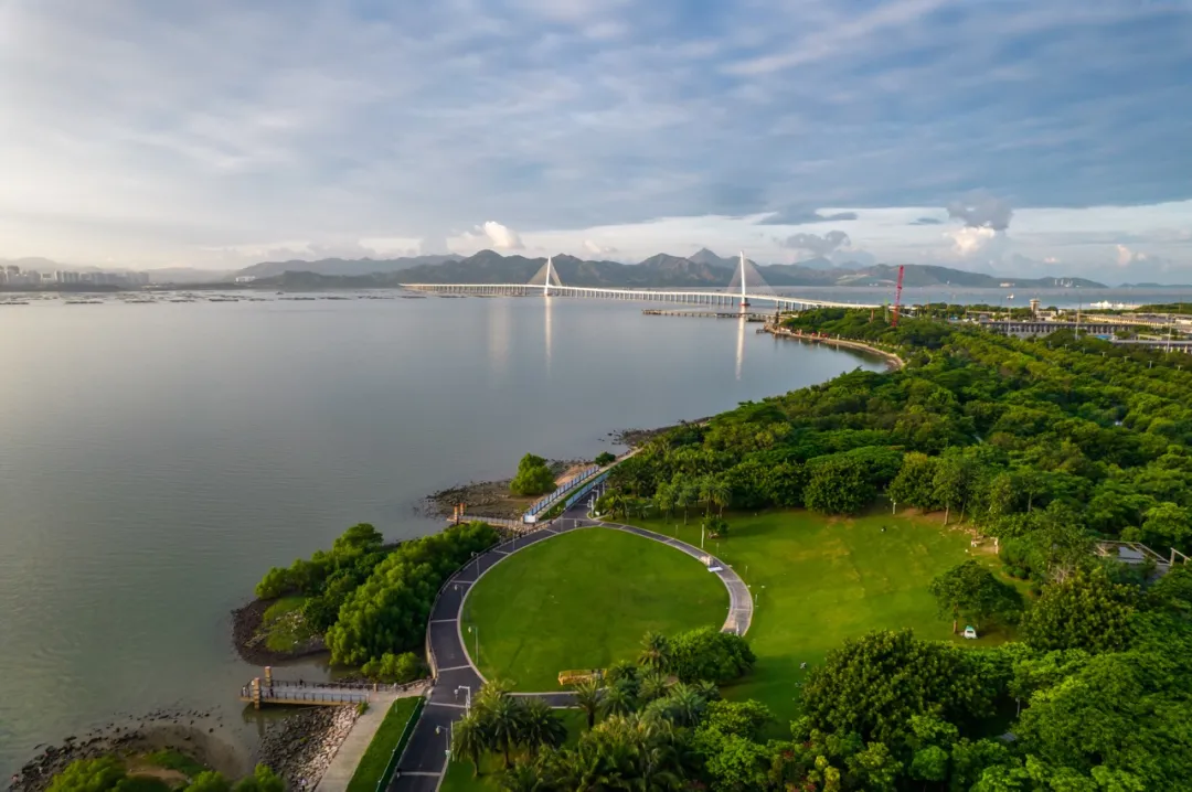 Shenzhen Bay Park with open grass, bay views, and a city skyline