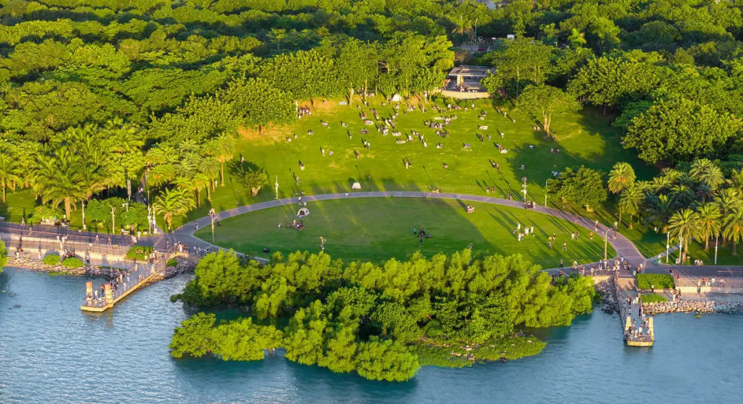 Shenzhen Camping with Kids: 5 Easy Family-Friendly Spots for an Outdoor Day